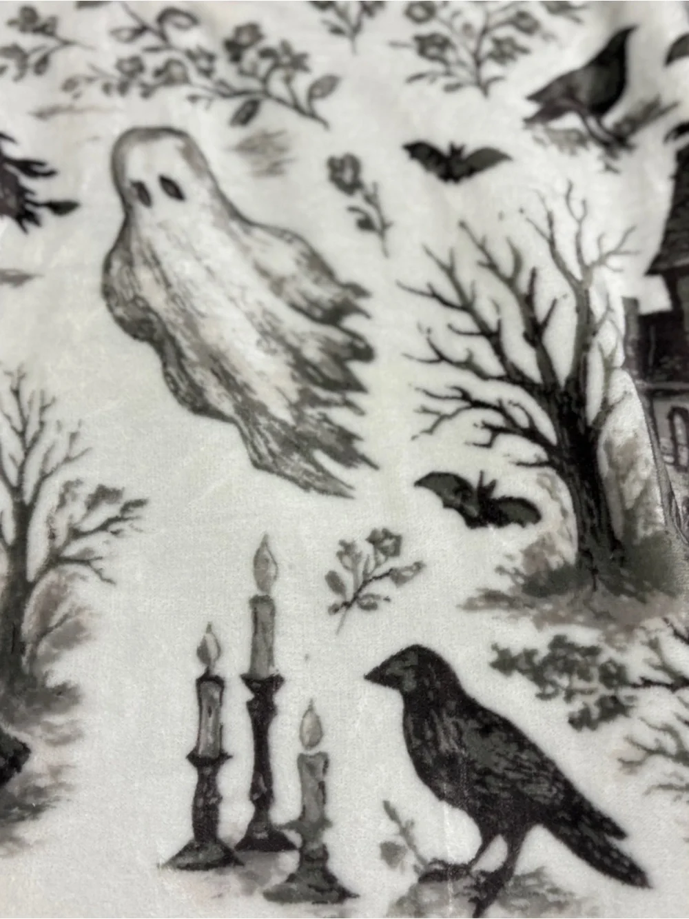 RACHEL Rachel Roy Black & White Halloween Ghost Toile Plush Throw